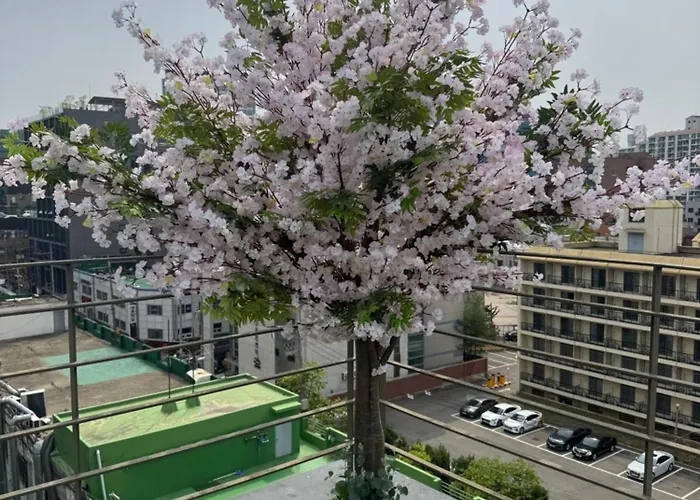 701, Seongsu Station Jungnangcheon Cherry Blossom Road River Airport Bus